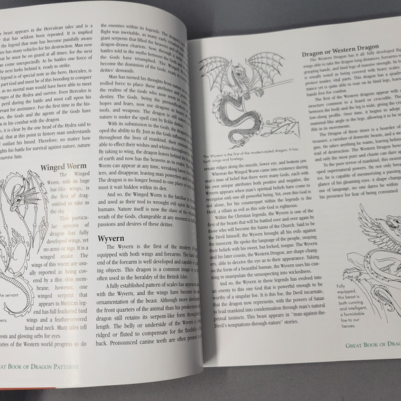 Great Book of Dragon Patterns Lora S. Irish Rev 2nd Ed Softcover 100+ Fox Chapel - Picture 5 of 14